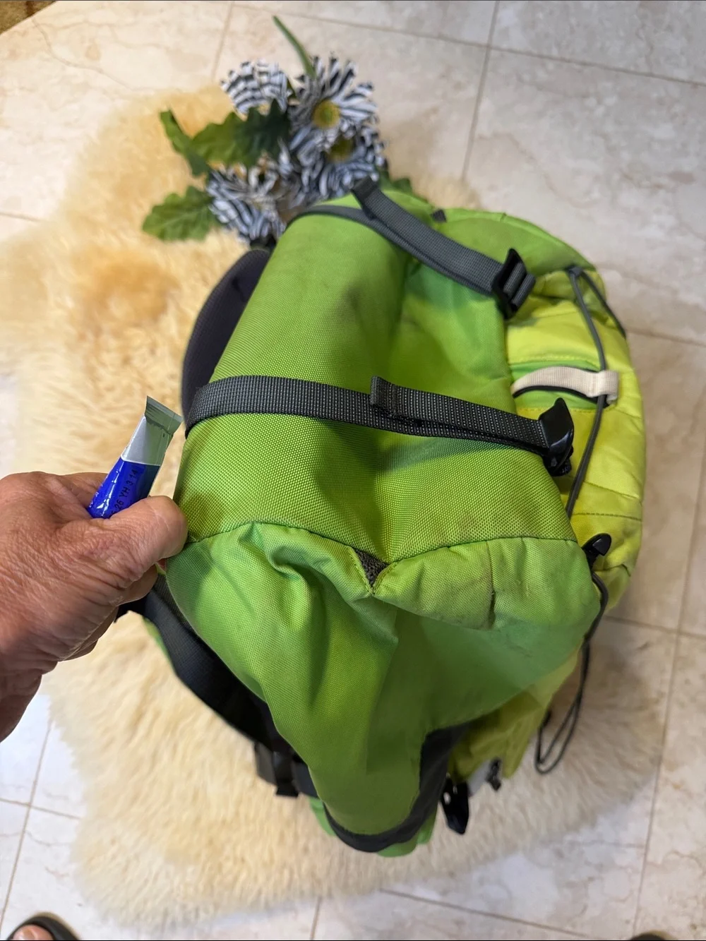 Patagonia Lime Green  Outdoor Daypack